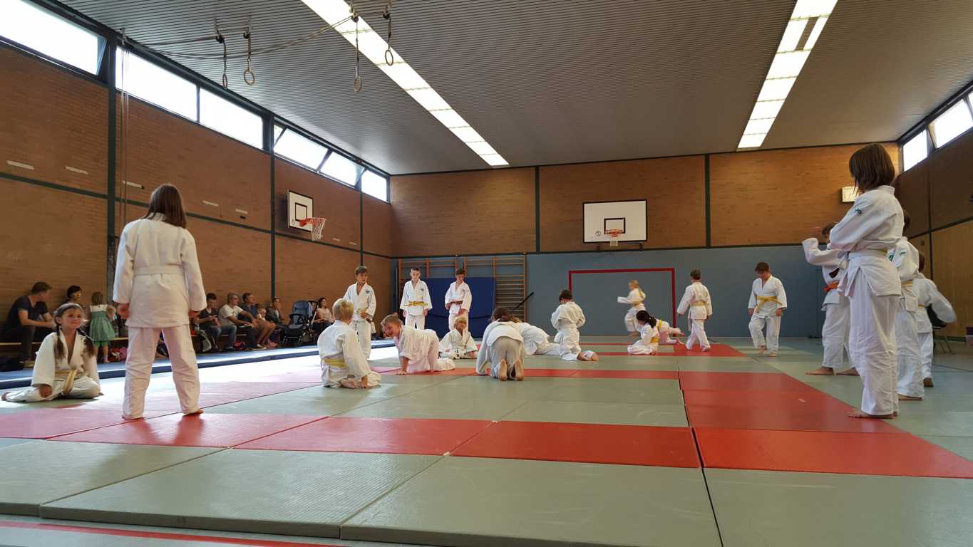 Große Judosafari beim SFD 75