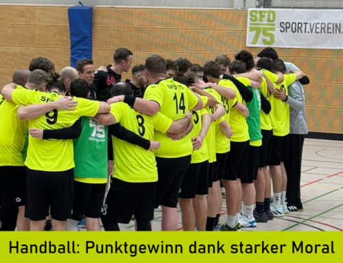 Handball: Punktgewinn dank starker Moral