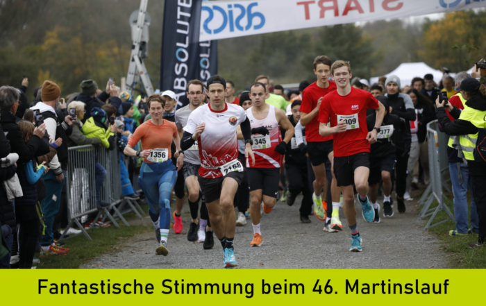 Start der Seerunde beim 46. Martinslauf